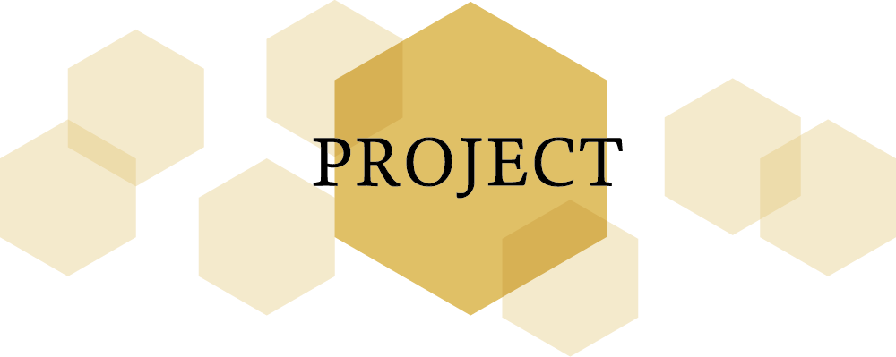 PROJECT